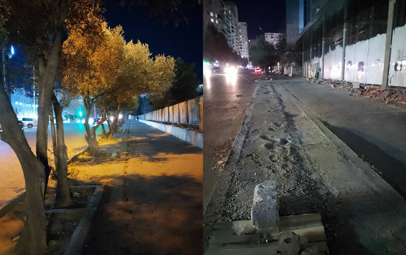 Xırdalanda ağacları kəsən vəzifəli şəxs 13 min manat cərimələndi - Fotolar