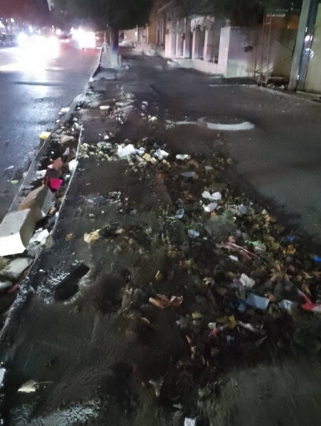 Xırdalanda ağacları kəsən vəzifəli şəxs 13 min manat cərimələndi - Fotolar