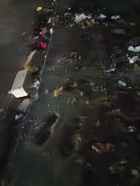 Xırdalanda ağacları kəsən vəzifəli şəxs 13 min manat cərimələndi - Fotolar