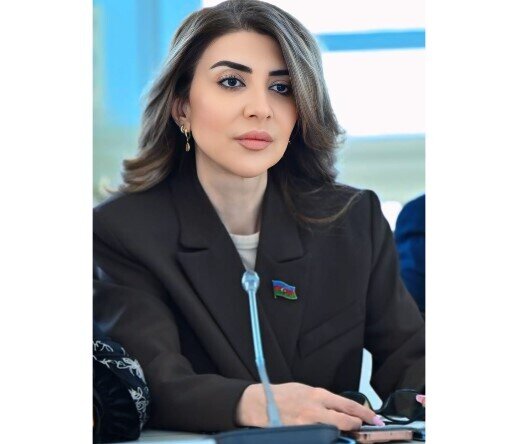 "Bütün bu uğurların yeganə və şəriksiz memarı Möhtərəm Cənab Prezident İlham Əliyevdir" - DEPUTAT