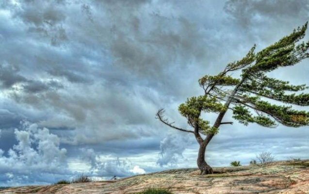 Küləklə bağlı növbəti - XƏBƏRDARLIQ