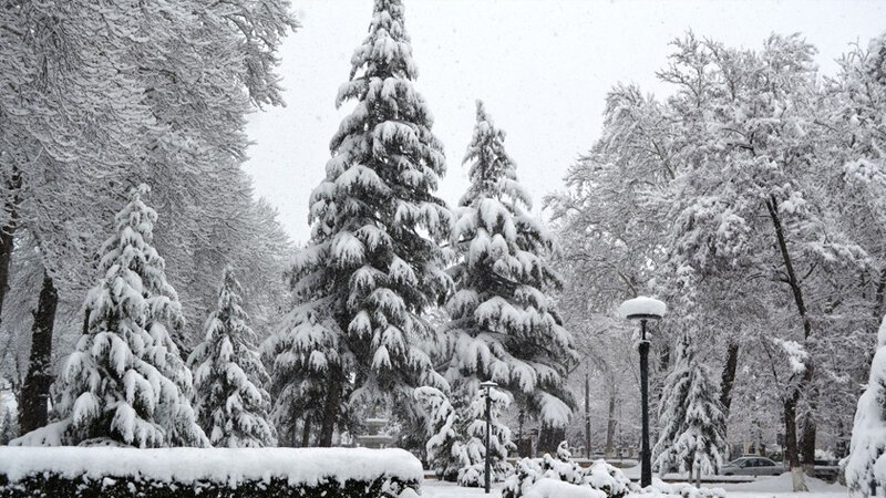 Bu rayonlara qar yağır - FAKTİKİ HAVA