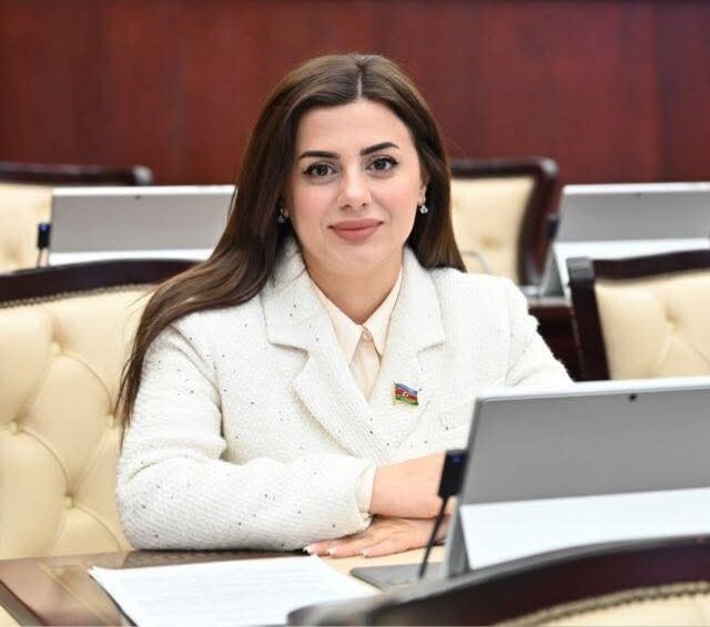 "Bu gün Azərbaycan beynəlxalq münasibətlər sistemində gündəlik formalaşdıran, təşəbbüs irəli sürən aktor kimi çıxış edir" - DEPUTAT