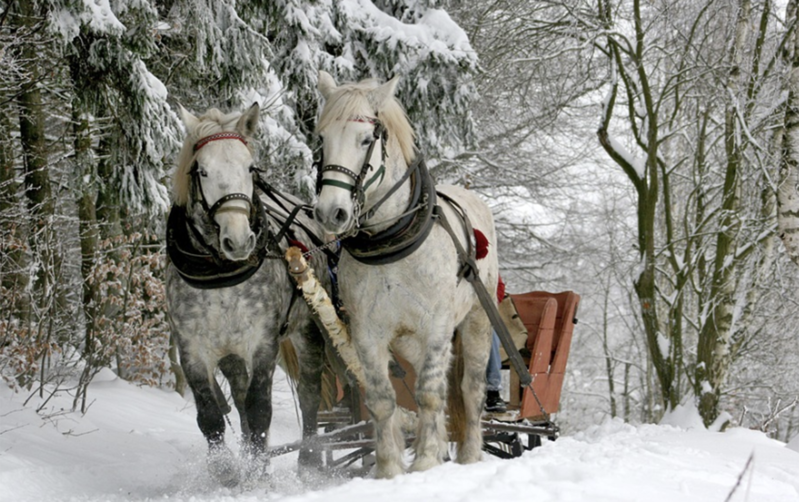 Qar yağacaq, 20° şaxta olacaq