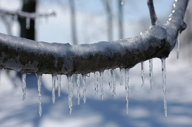 Qonşu ölkəyə dondurucu şaxtalarla bağlı xəbərdarlıq edildi