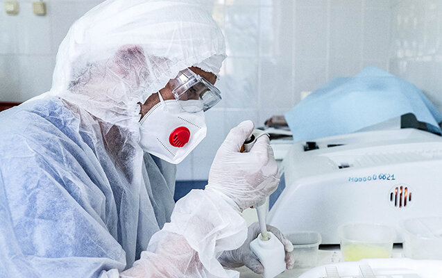 Azərbaycanda Nipah virusuna yoluxma qeydə alınıb? - Rəsmi açıqlama