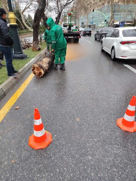 Bakıdakı güclü küləkdə 37 ağac qırıldı - Fotolar - Yenilənib