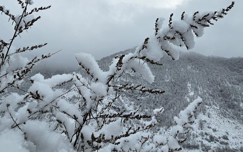 Şahbuza 37 sm qar yağdı
