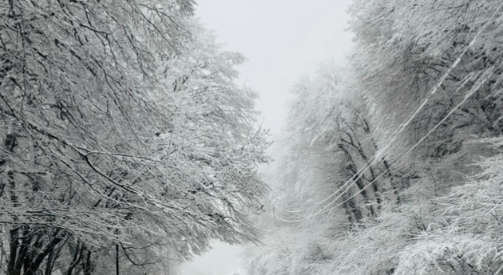Bakı-Şamaxı-Yevlax yolu buz bağladı (FOTO)
