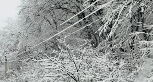 Bakı-Şamaxı-Yevlax yolu buz bağladı (FOTO)