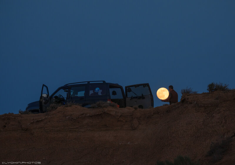 Qobustanda Ayı "oğurladılar" - Foto