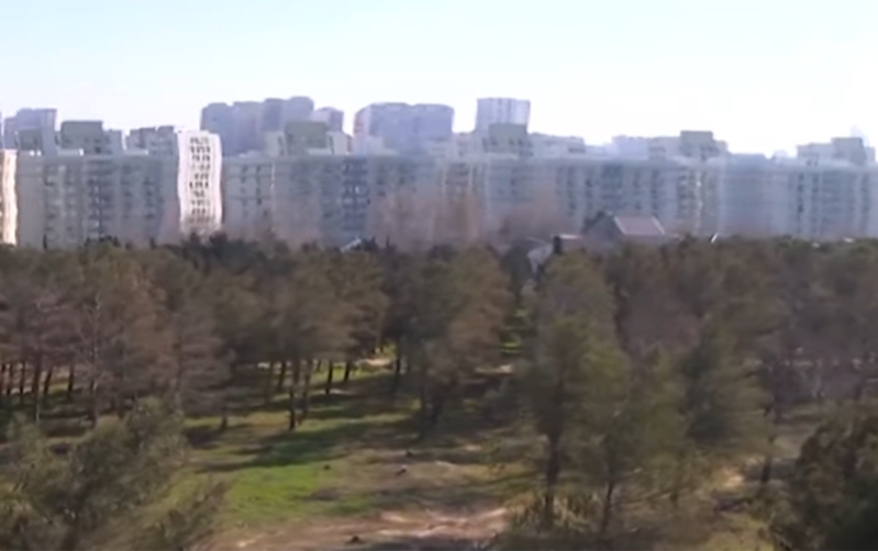 Yasamaldakı meşəlikdə bina tikiləcək? - Video