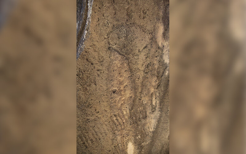 Qobustanda yeni qayaüstü izlər aşkarlandı - Fotolar