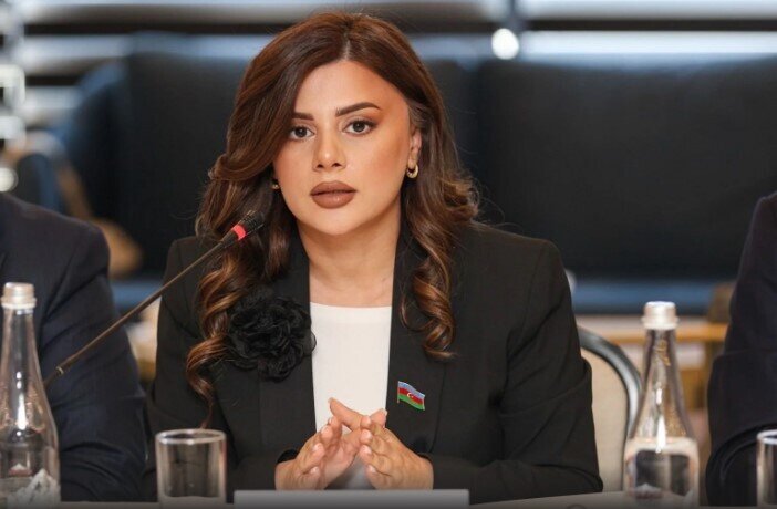 "Azərbaycanın bütün idman sahələri hər zaman Ölkə Başçısının diqqət mərkəzində olub" - DEPUTAT