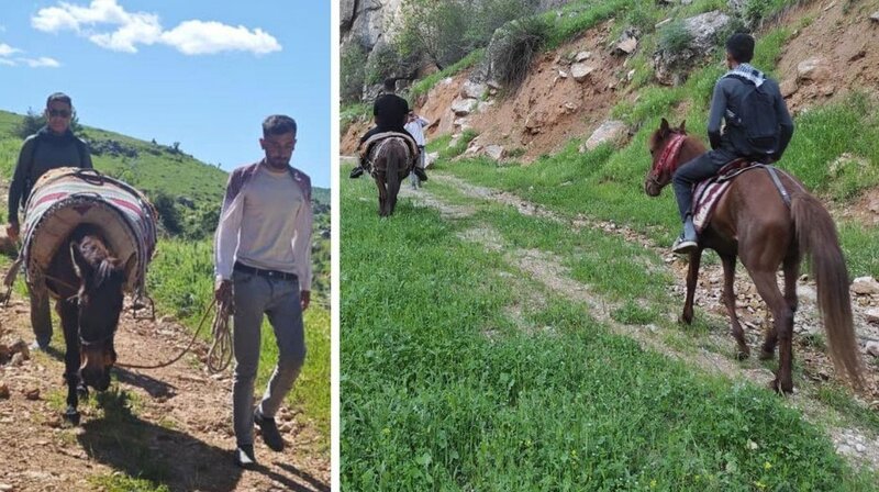 Sübh azanı ilə yola düşürlər: 3 saatlıq dağ yolundan şəfalı ot toplayırlar