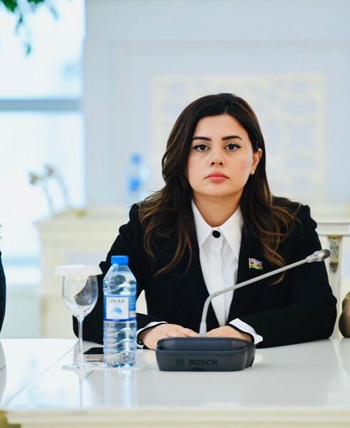"Ermənistan regionda sülh və sabitlik tərəfdarıdırsa, silahlanma kontekstində addımları sual doğurur" - DEPUTAT