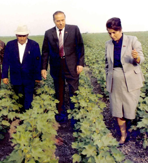Almaz Hacıyeva vəfat etdi (FOTO)
