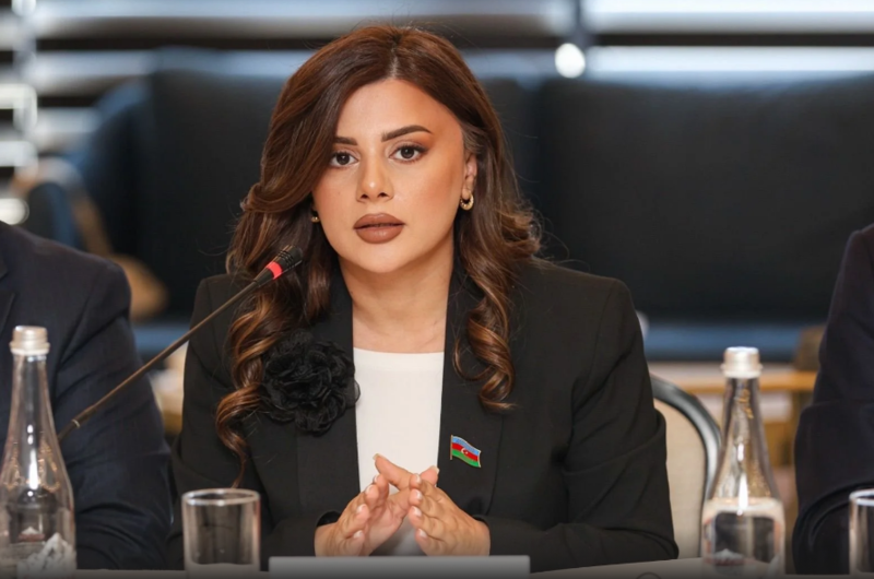 "Bu gün Azərbaycan Ordusu regionun ən güclü silahlı qüvvələrindən biri hesab olunur" - Pərvanə Vəliyeva
