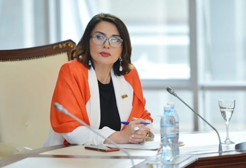 "Sosial şəbəkələrdə paylaşılan zərərli, qeyri-etik və yaşa uyğun olmayan məlumatlar uşaqların inkişafına mənfi təsir göstərir" - DEPUTAT