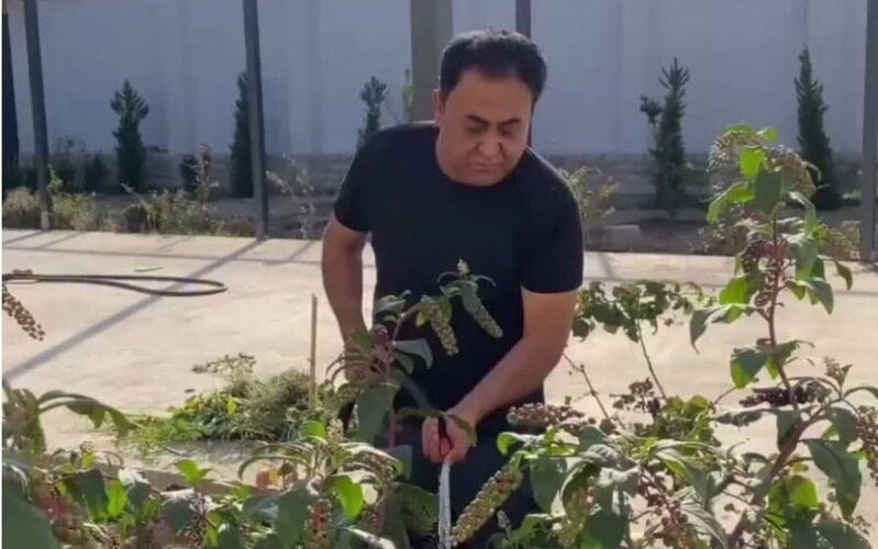 Elgiz bağ evini nümayiş etdirdi - (Video)