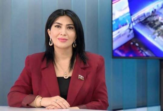 "Təhsil sistemində müəyyən edilmiş qaydalar təsadüfi deyil, aydın hüquqi və pedaqoji məqsədlərə xidmət etməlidir" - Elnarə Akimova