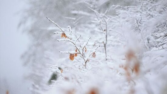 Yazın ortasında Türkiyəyə qar yağdı - FOTO