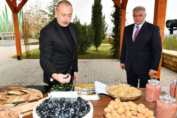 İlham Əliyev "Şəki-Oğuz" Aqroparkında yaradılan şəraitlə tanış olub - YENİLƏNİB + FOTO