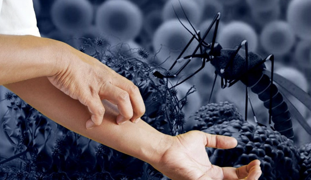 Yunanıstanda virus həyəcanı: Ölənlər var