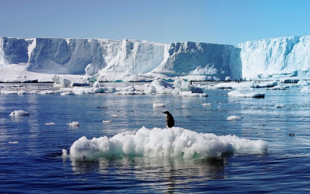 Antarktidanın buz örtüyü 2100-cü ilə qədər 20% azalacaq