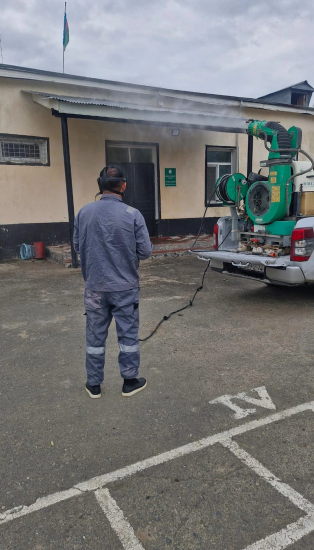 Şəki-Zaqatala bölgəsini zərərverici həşəratlar "zəbt edib": Dövlət qurumundan TÖVSİYƏ