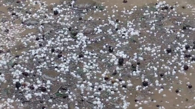 Lənkəranın 5 kəndinə dolu düşdü - Foto
