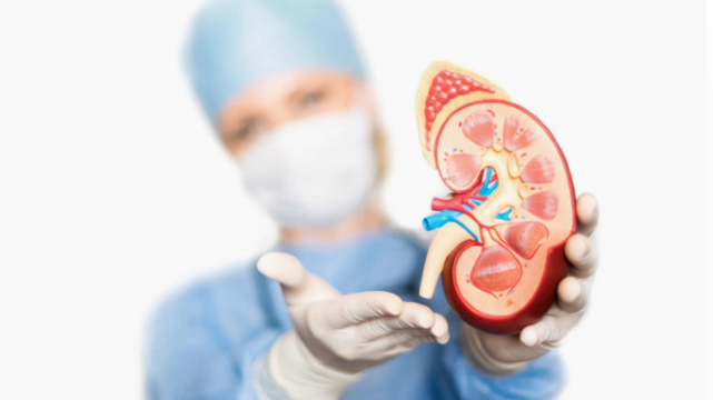 Anadangəlmə uroloji problemlər və böyrək genişlənməsinin səbəbi nədir?
