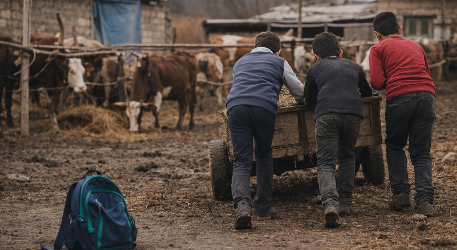 Fermada keçən uşaqlıq: Cəlilabadda dörd qardaş məktəb üzü görmür