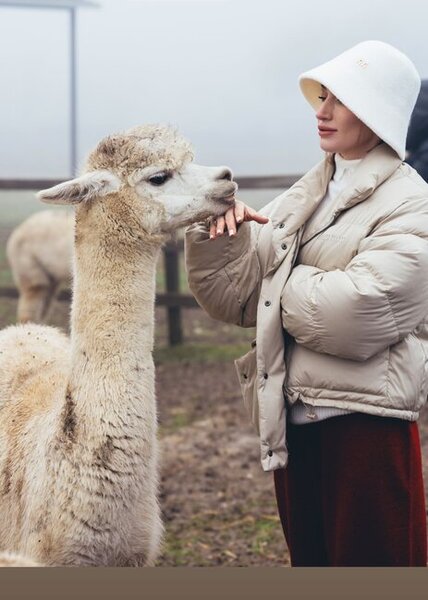 Prezidentin gəlininin alpaka fermasından maraqlı - Fotoları