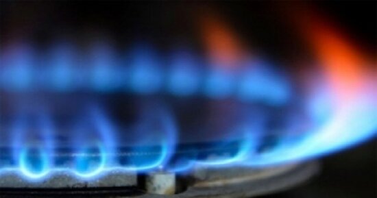 Gəncədə bir ailənin 7 üzvü zəhərləndi