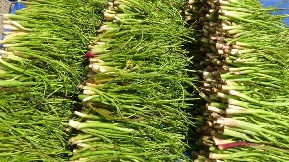 Naxçıvanda bu bitki mütləq əllə YIĞILMALIDIR - VİDEO