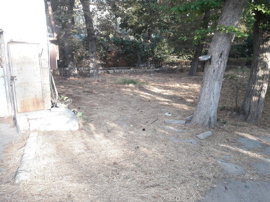 2 şəhidin abidəsi ucaldılan park baxımsız qalıb, yolları kələ-kötürdür - ŞİKAYƏT - FOTO