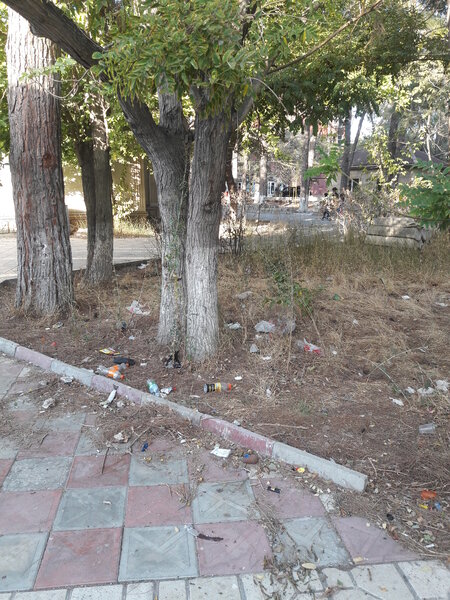 2 şəhidin abidəsi ucaldılan park baxımsız qalıb, yolları kələ-kötürdür - ŞİKAYƏT - FOTO