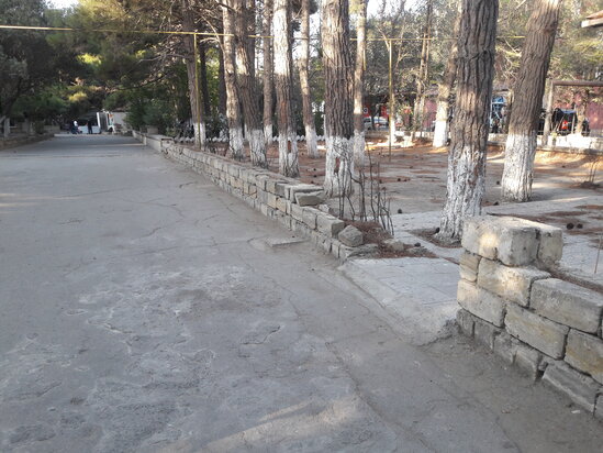 2 şəhidin abidəsi ucaldılan park baxımsız qalıb, yolları kələ-kötürdür - ŞİKAYƏT - FOTO
