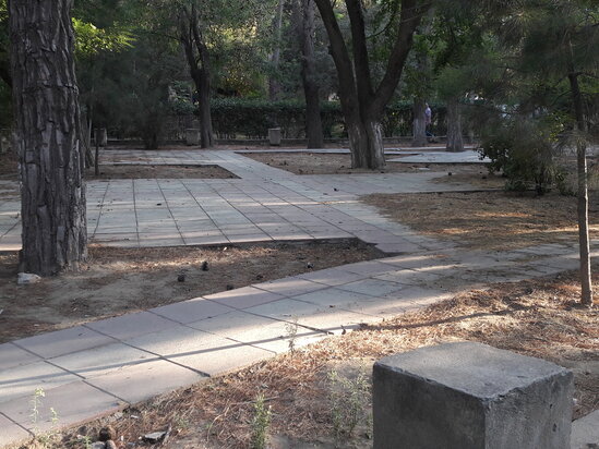 2 şəhidin abidəsi ucaldılan park baxımsız qalıb, yolları kələ-kötürdür - ŞİKAYƏT - FOTO
