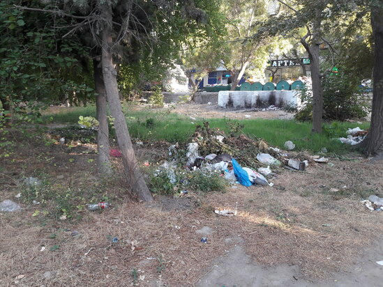 2 şəhidin abidəsi ucaldılan park baxımsız qalıb, yolları kələ-kötürdür - ŞİKAYƏT - FOTO