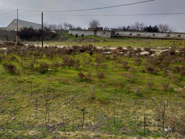 Çıxarışı olmayan torpağın aqibəti necə olacaq?