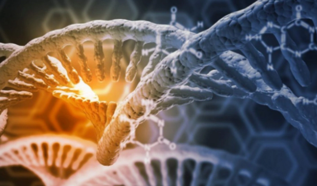 Azərbaycanda Parkinson xəstəliyi cavanlaşır: Səbəblər nələrdir?