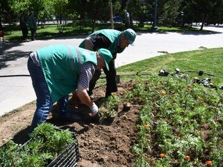Bu gün Bakının 545 küçəsi yuyulub