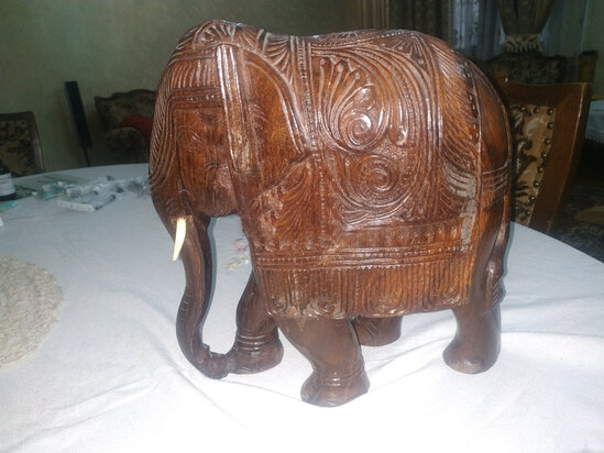 Hindistandan gətirilən fil Bakıda bu qiymətə SATILIR - FOTO