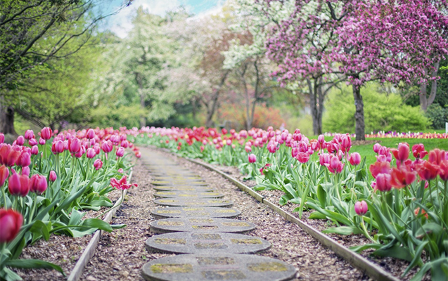 Sabah 22° isti olacaq