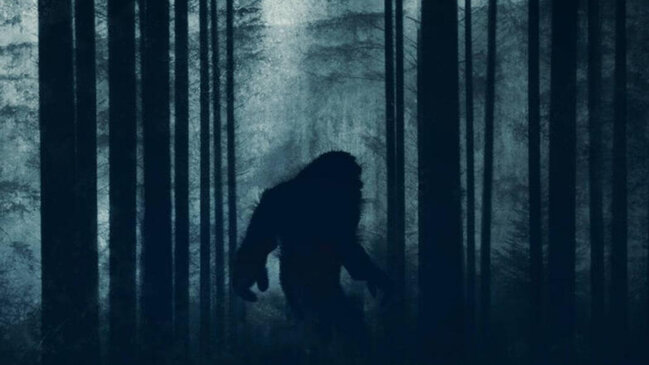 1977-ci ildə görünən "qar adamı" ilə bağlı sübutlar FTB-yə təqdim edildi