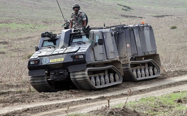 Niderland Ukraynaya 28 ədəd "Vikinq" təhvil verəcək