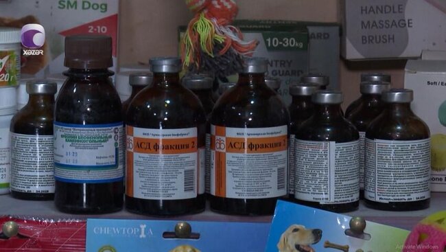 Baytarlıq apteklərində satılan "Kreolin" xərçəngi sağaldır? - VİDEO