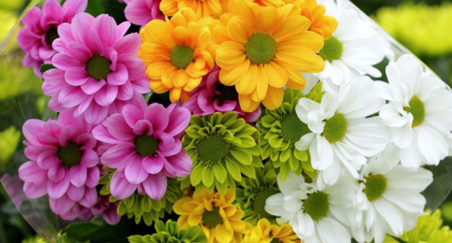 Gülləri uzun müddət necə saxlamaq olar?